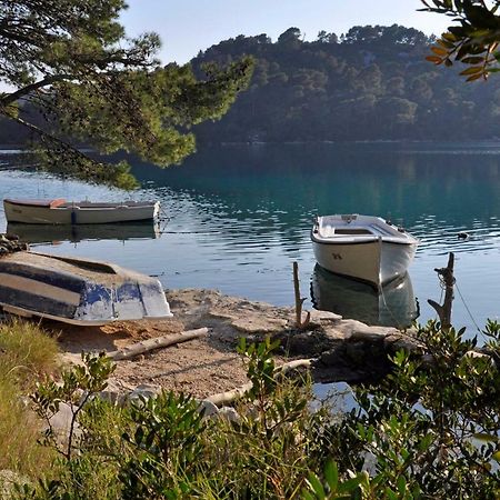 Authentic Ap For 2, Babino Polje,Mljet Apartment Ngoại thất bức ảnh