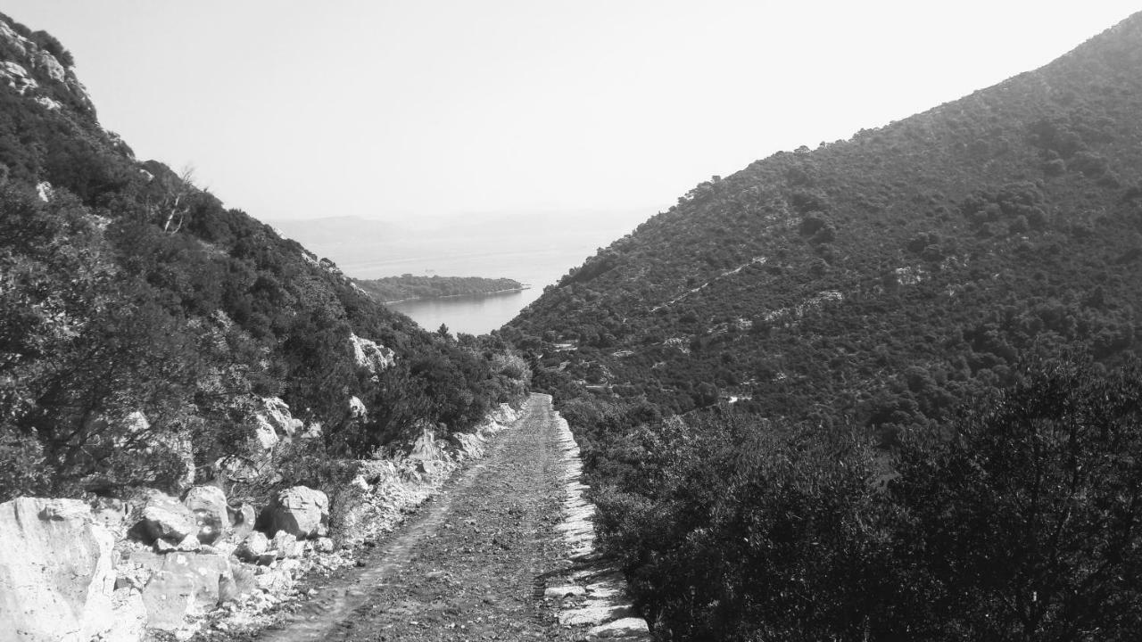 Authentic Ap For 2, Babino Polje,Mljet Apartment Ngoại thất bức ảnh