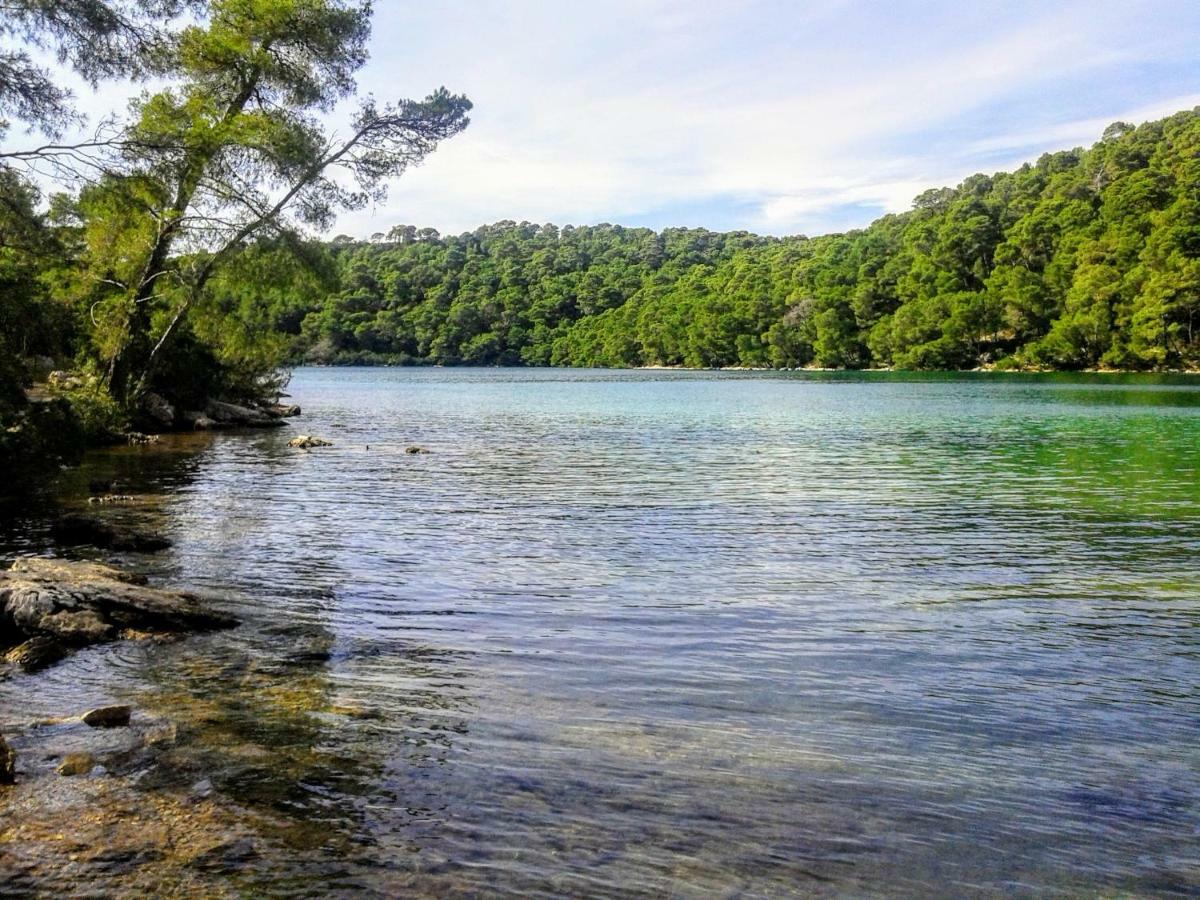Authentic Ap For 2, Babino Polje,Mljet Apartment Ngoại thất bức ảnh