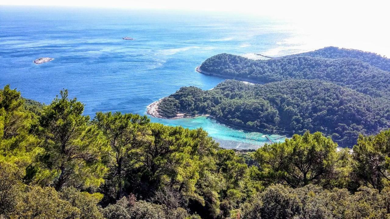 Authentic Ap For 2, Babino Polje,Mljet Apartment Ngoại thất bức ảnh