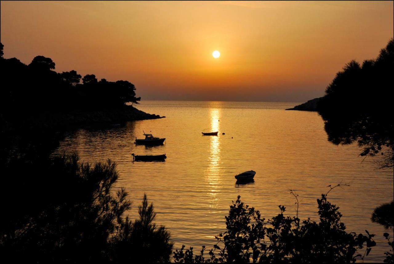 Authentic Ap For 2, Babino Polje,Mljet Apartment Ngoại thất bức ảnh