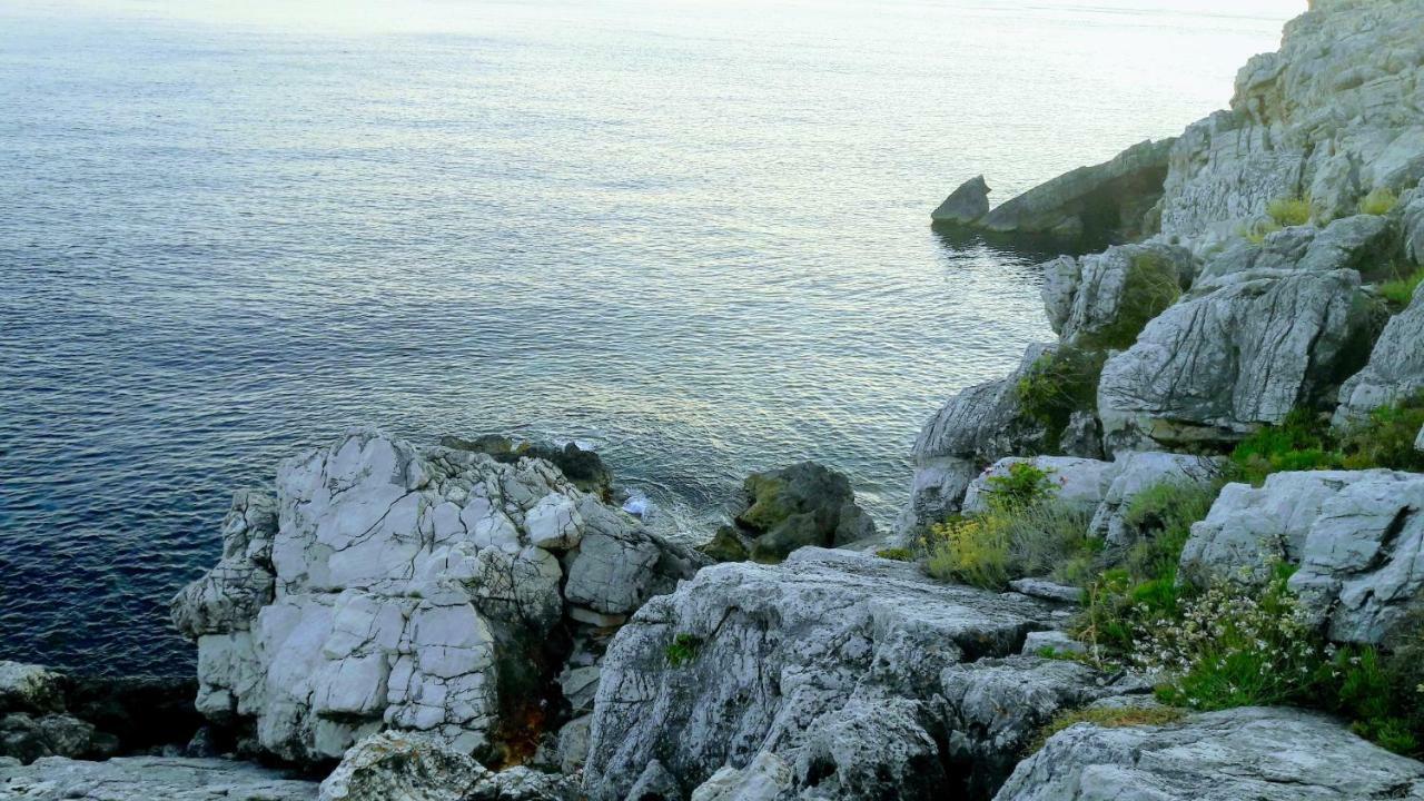 Authentic Ap For 2, Babino Polje,Mljet Apartment Ngoại thất bức ảnh
