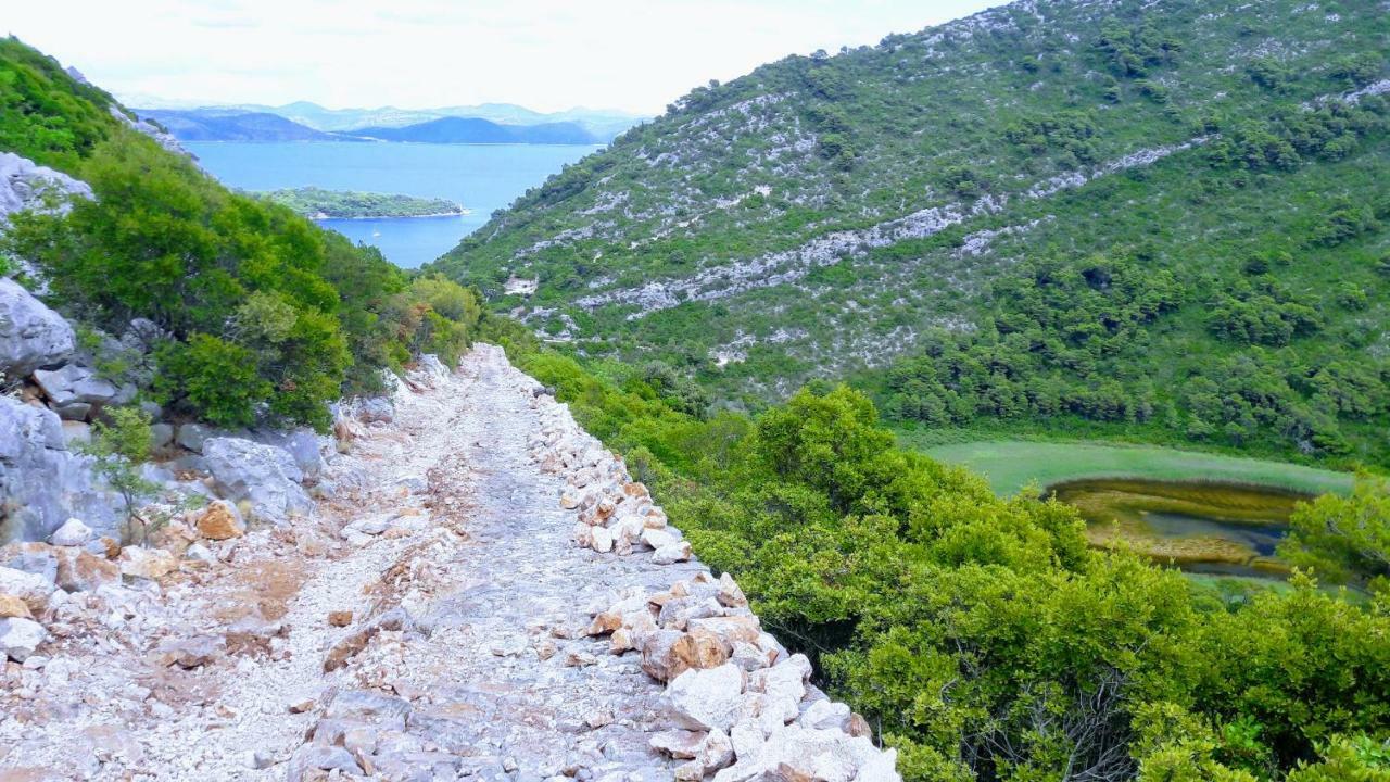 Authentic Ap For 2, Babino Polje,Mljet Apartment Ngoại thất bức ảnh
