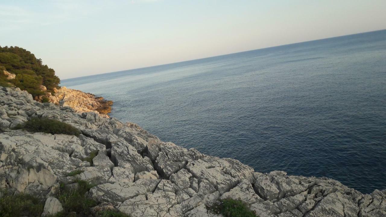 Authentic Ap For 2, Babino Polje,Mljet Apartment Ngoại thất bức ảnh